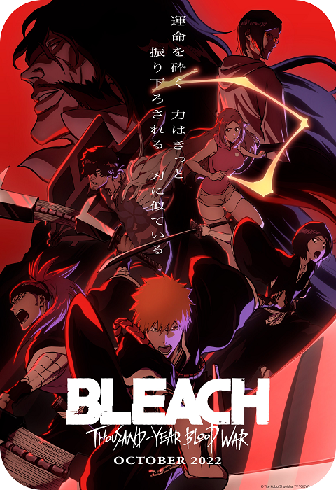 Banner do anime Bleach